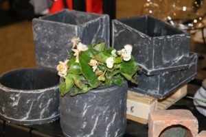 Cement Pots