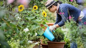 8 Trends Influencing the Garden World in 2018