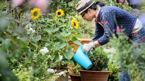 8 Trends Influencing the Garden World in 2018