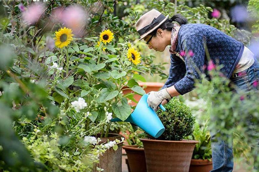 2. Garden Tribe