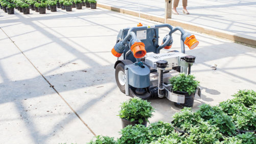 How to Make Plants Better With Automation