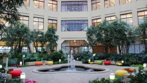 Calling All Designers: Enter the International Plantscape Awards