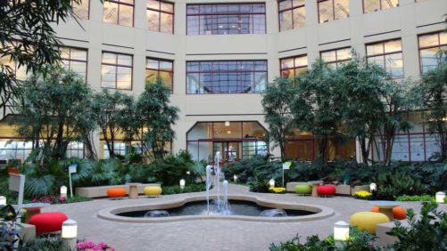 Calling All Designers: Enter the International Plantscape Awards