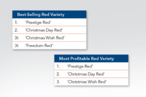 Best-selling Red Poinsettia