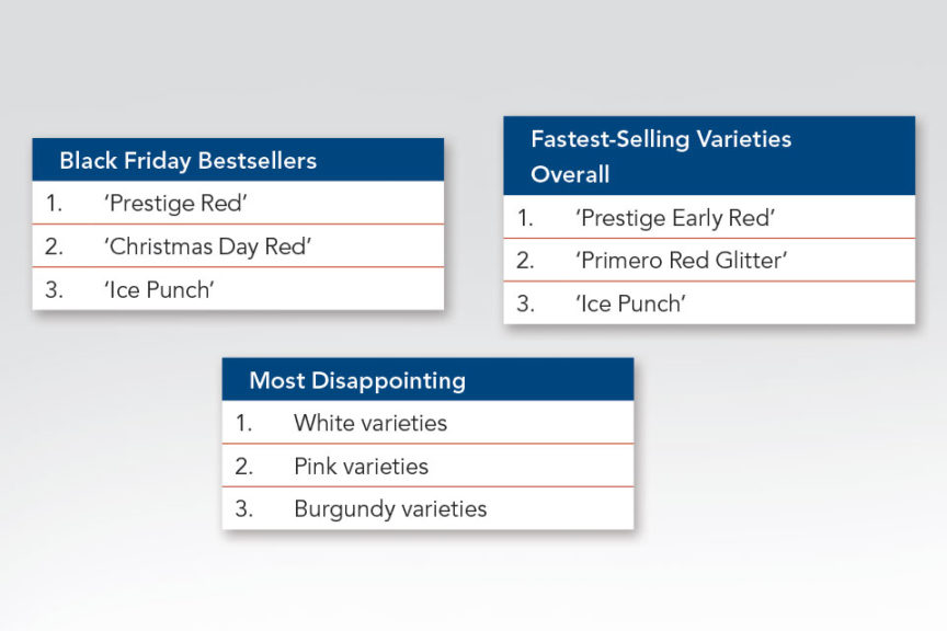 Black Friday Bestsellers, Fasting Selling, and Disappointments
