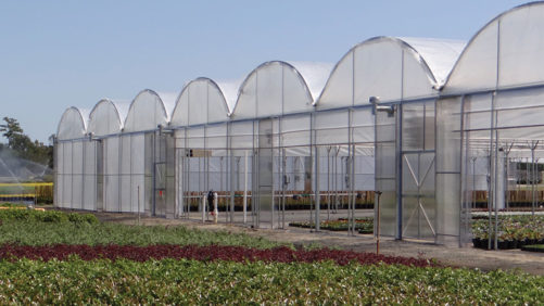 Greenhouse Suppliers Weigh In on Building and Design Trends