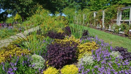 Longwood Garden’s Captivating Landscape Combinations — From the Public’s Perspective