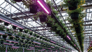 How You Can Run Your Business More Efficiently with LED Solutions