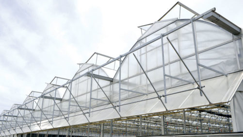 Top 100 Growers Continuing to Invest in New Building Projects