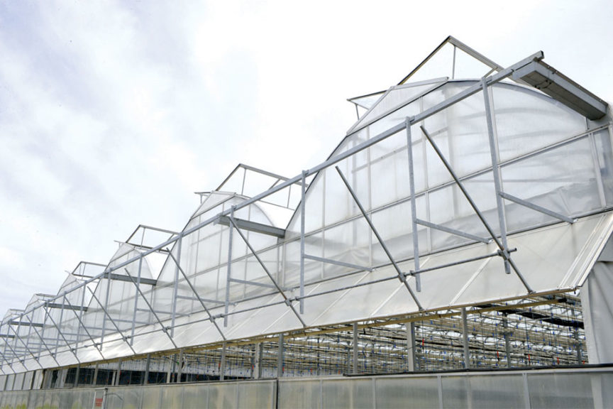 Solar Glass Greenhouse (Westbrook Greenhouse Systems)