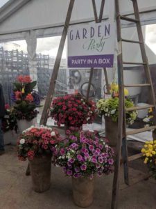 Garden Party Combos