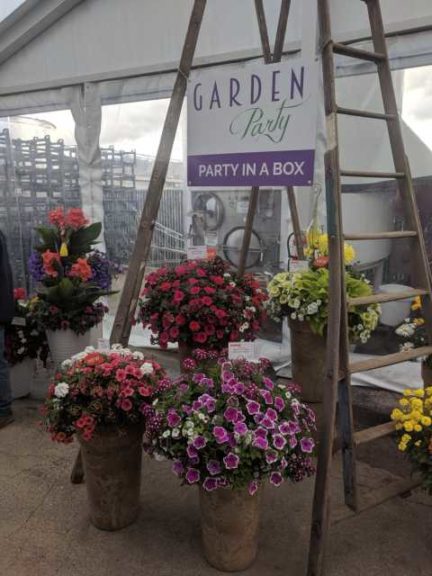 Garden Party Combos