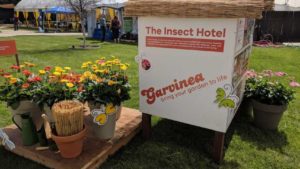 Six Gardening Trends to Monitor for 2022