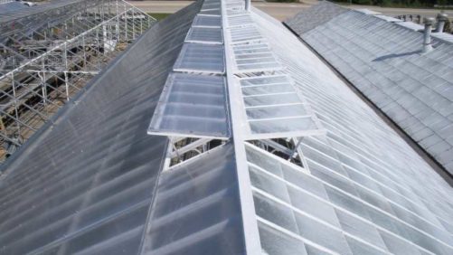 How to Decide Whether to Build a New Greenhouse Structure or Retrofit an Existing One