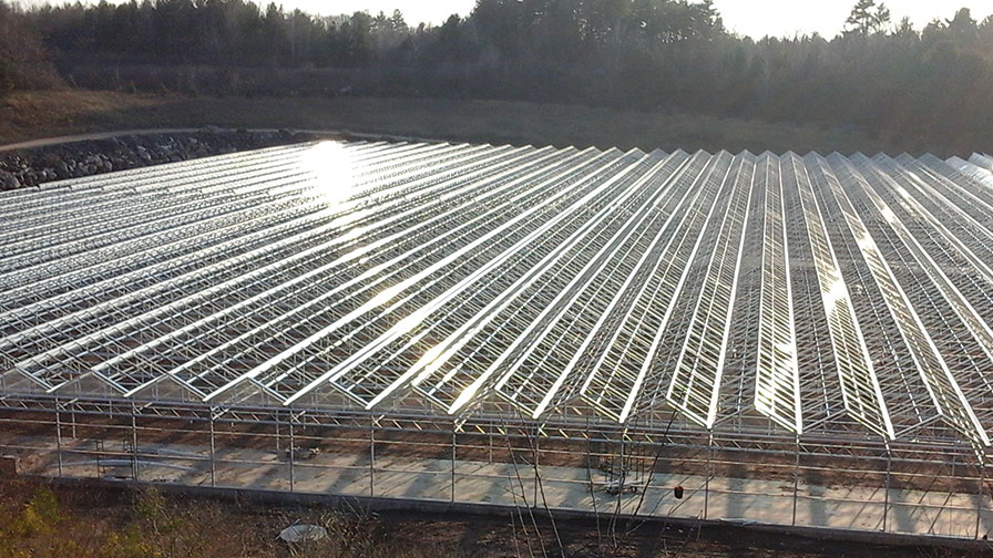 Grower Direct