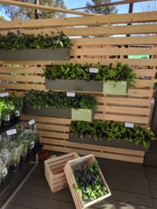 HandPicked Vegetables (PanAmerican)