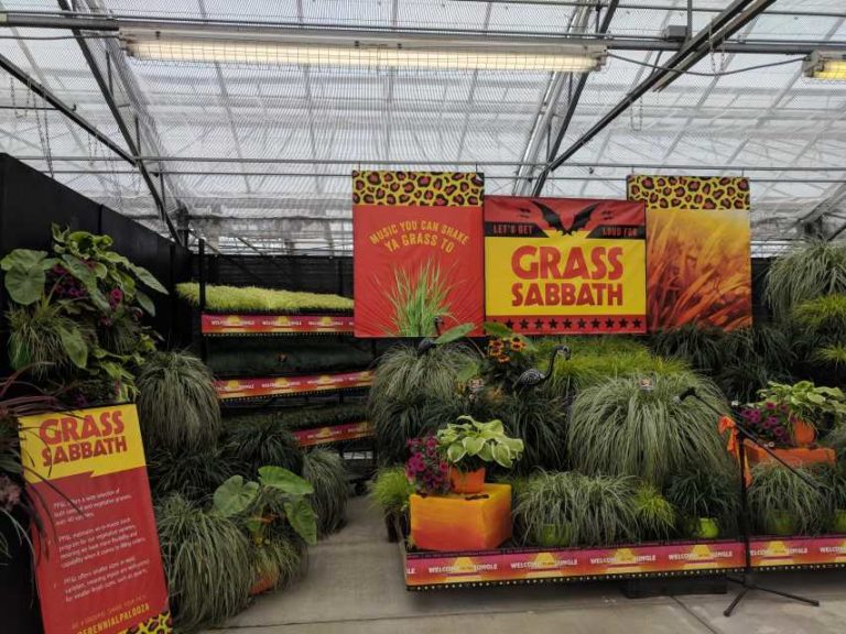 Grass Sabbath