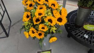 Show Your Love of Flowers in Video Form