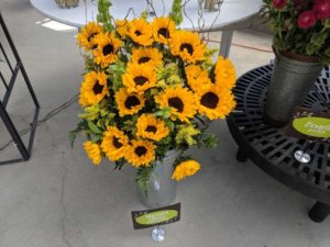 Sakata Cut Flowers
