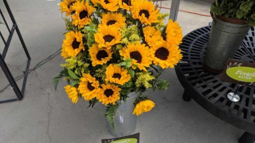 Show Your Love of Flowers in Video Form