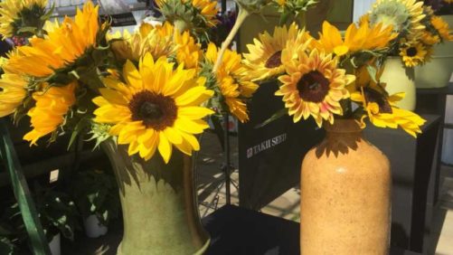 Drive Consumer Interest in New Plants With These Tools