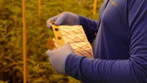 Biological Crop Protection: Get Back To Basics