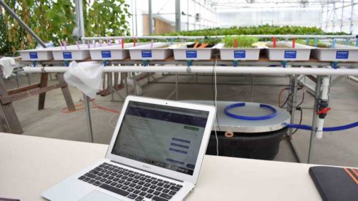 Smithers-Oasis, Agrilyst to Make Crop Management Tools More Accessible