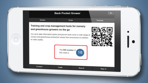 Greenhouse Crop Management Scheduling Made Easy With New App