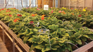 Preparation and Communication Will Be Key for Crop Protection in 2022