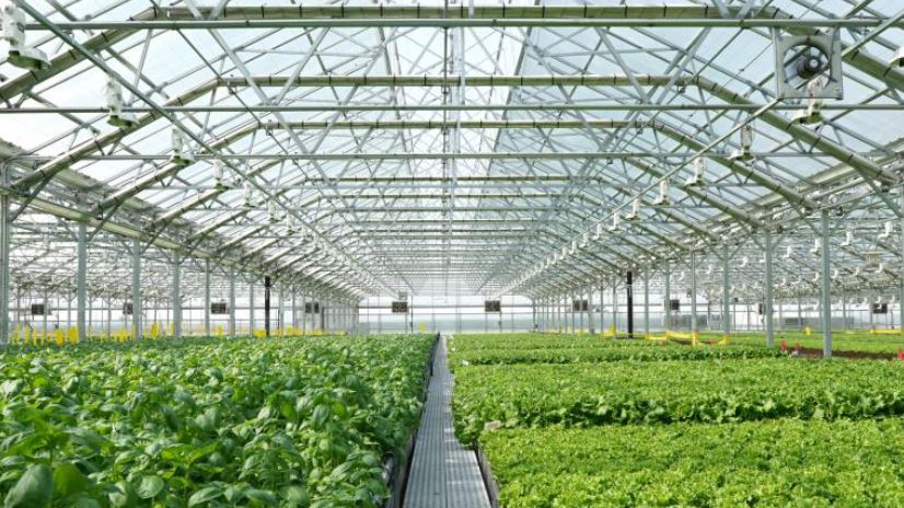 Gotham-Greens United Fresh Live