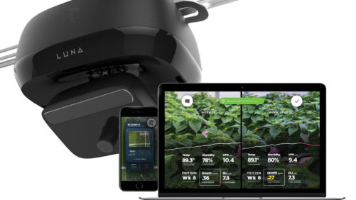 Why Horticulture Is Ripe for Artificial Intelligence