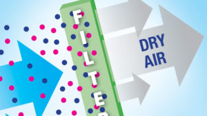 Three Steps to Effective Greenhouse Humidity Control
