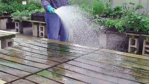 How Greenhouse Sanitation Helps You Start Clean and Stay Clean