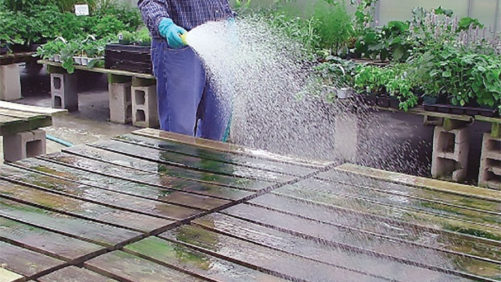 How Greenhouse Sanitation Helps You Start Clean and Stay Clean