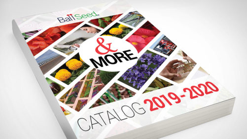 Ball Seed New Catalog for 2019-2020 Now Available