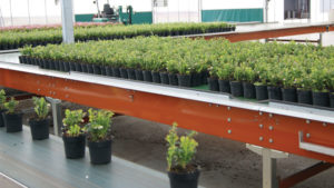 Five Ways to Optimize Your Greenhouse Benching for Maximum Efficiency