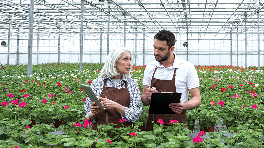 Employees-in-a-Greenhouse green industry