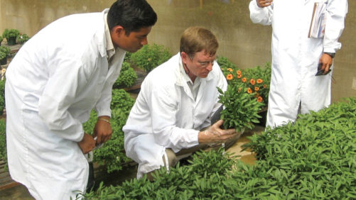 Dr. Royal Heins Selected For Top Achievement Award