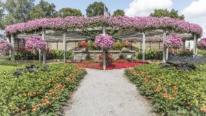 Pleasant View Gardens, D.S. Cole Growers to Host Open House in August