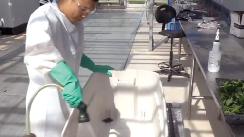 Improving Global Plant Biosecurity, and Why it Matters to Growers