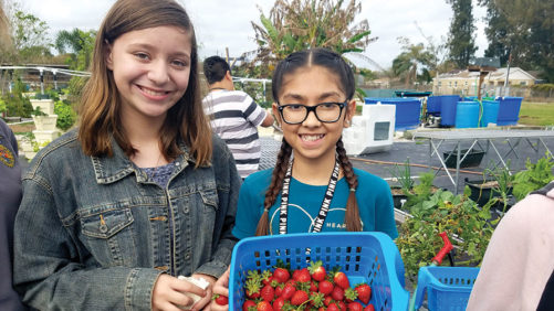 Why the Society of American Florists and Seed Your Future Joined Forces