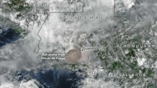 Two Dümmen Orange Employees Missing Following Volcano Eruption