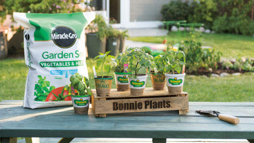 Your Chance to Go Behind the Scenes at Scotts Miracle-Gro