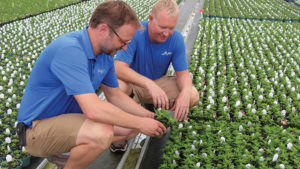 How to Communicate Quality Standards to Contract Greenhouse Growers