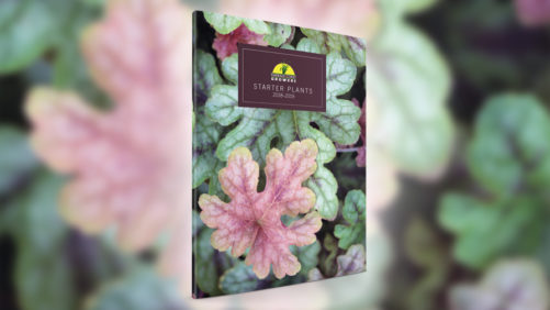 Emerald Coast Growers Releases New Variety Resource Guide