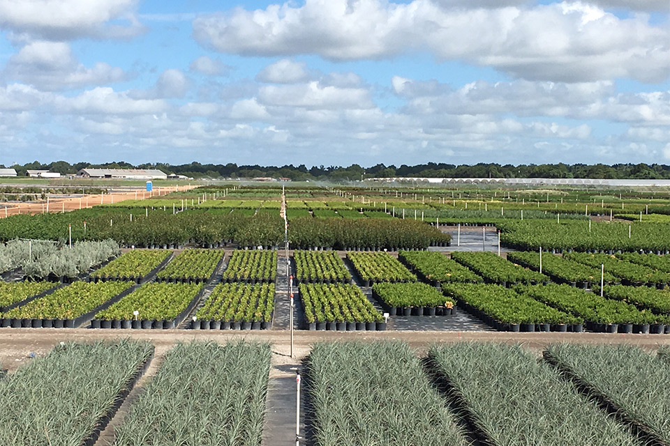 TreeTown USA Will Fill Growing Needs With Now Official Acquisition of Hines Division