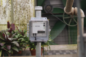 Sentinel (Sensaphone)