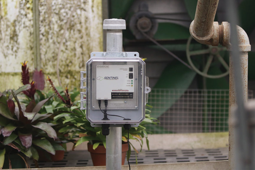 Sentinel (Sensaphone)