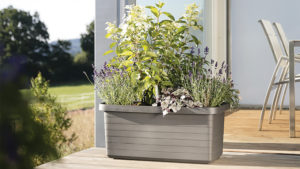 How to Teach Your Garden Center Customers to Water On Their Own Terms
