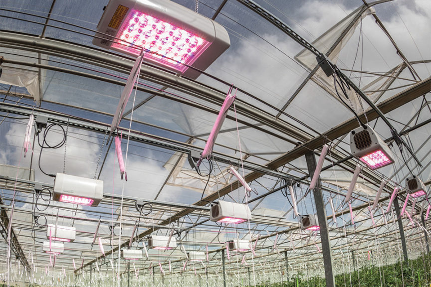 Elixia Series (Heliospectra)
